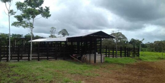 Finca de 417 hectáreas en Alajuela. Excelente oportunidad para agricultura o ganadería
