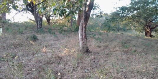 Venta de terreno en Nicoya de 71 hectáreas