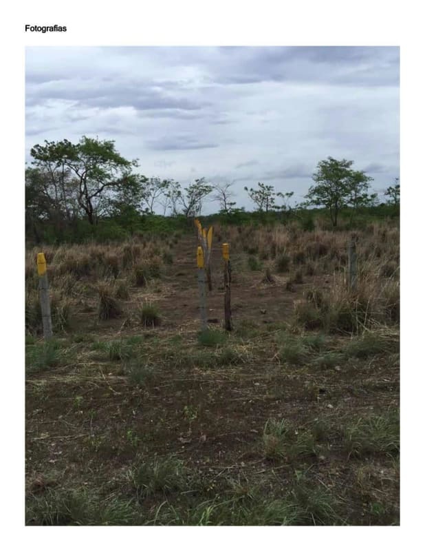 Venta de 10 hectareas en Papagayo, Costa Rica