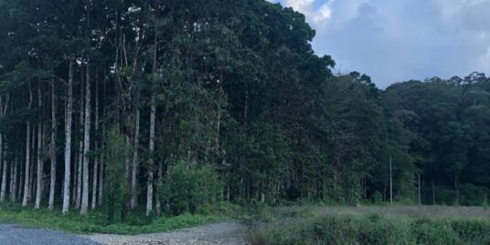 Venta de finca de 60 hectáreas en Guápiles