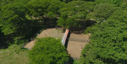 GUANACASTE FARM FOR SALE. excellent geographical position