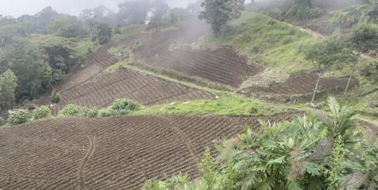 FINCA EN VENTA VOLCAN TURRIALBA TURISMO, GANADERIA, AGRICULTURA