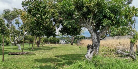 Venta de Lote  San Pablo de Heredia Uso de suelo mixto