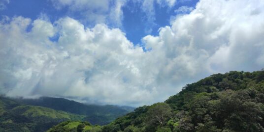 Venta de Propiedad de  Monteverde