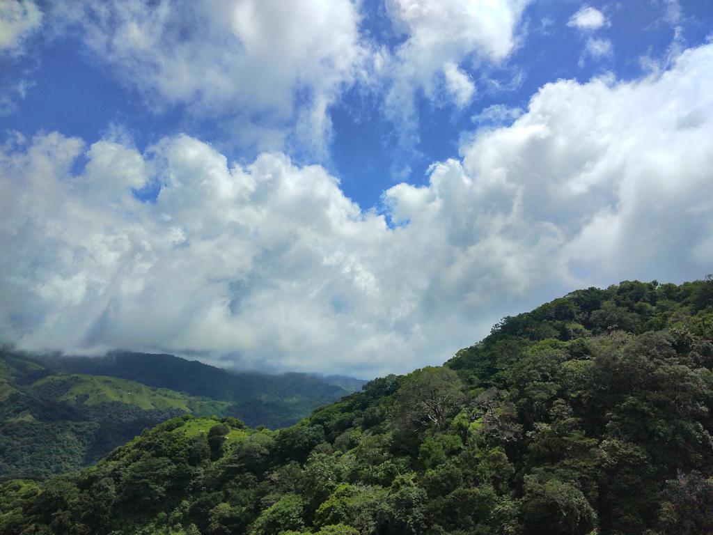Venta de Propiedad de  Monteverde