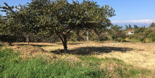 Venta de Terreno en Santa Ana