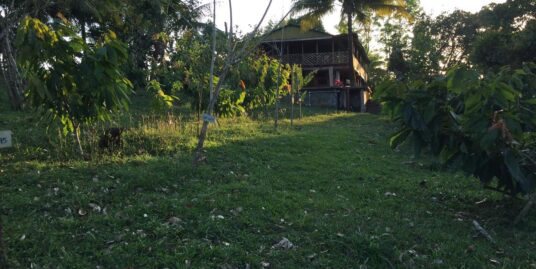 Venta de Finca en Boca Arenal. San Carlos.