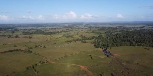 Venta de Finca en San Carlos Ganado Lechero