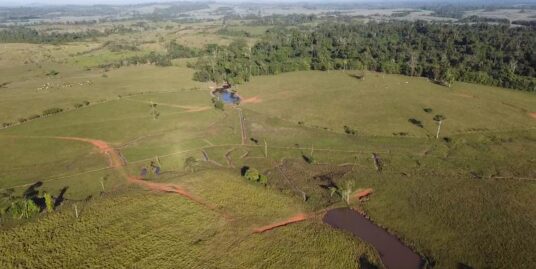 Venta de Finca en San Carlos Ganado Lechero