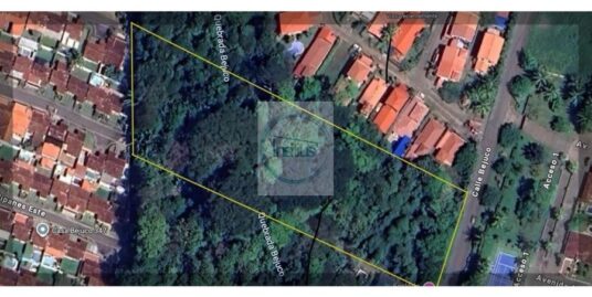 Oportunidad Lote en Bejuco