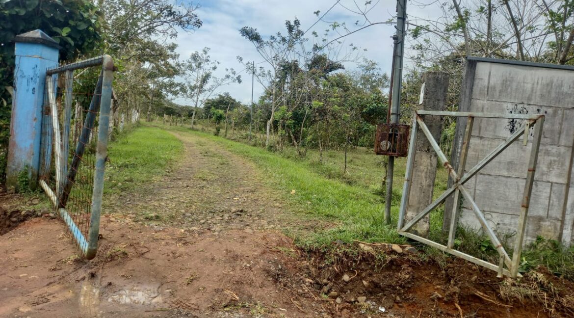 WhatsApp Image 2025-11-13 at 9.46.54 AM (2)