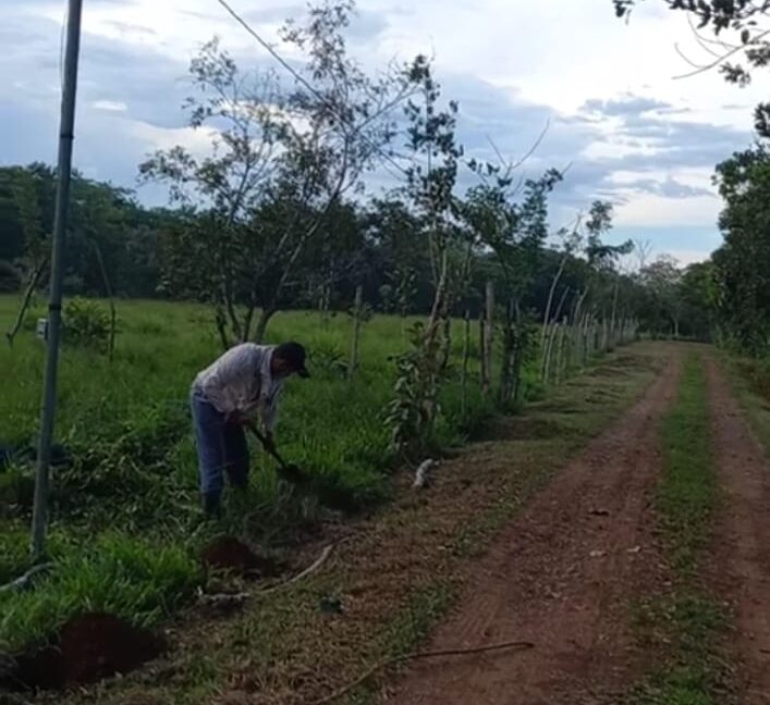 WhatsApp Image 2025-11-13 at 9.46.54 AM