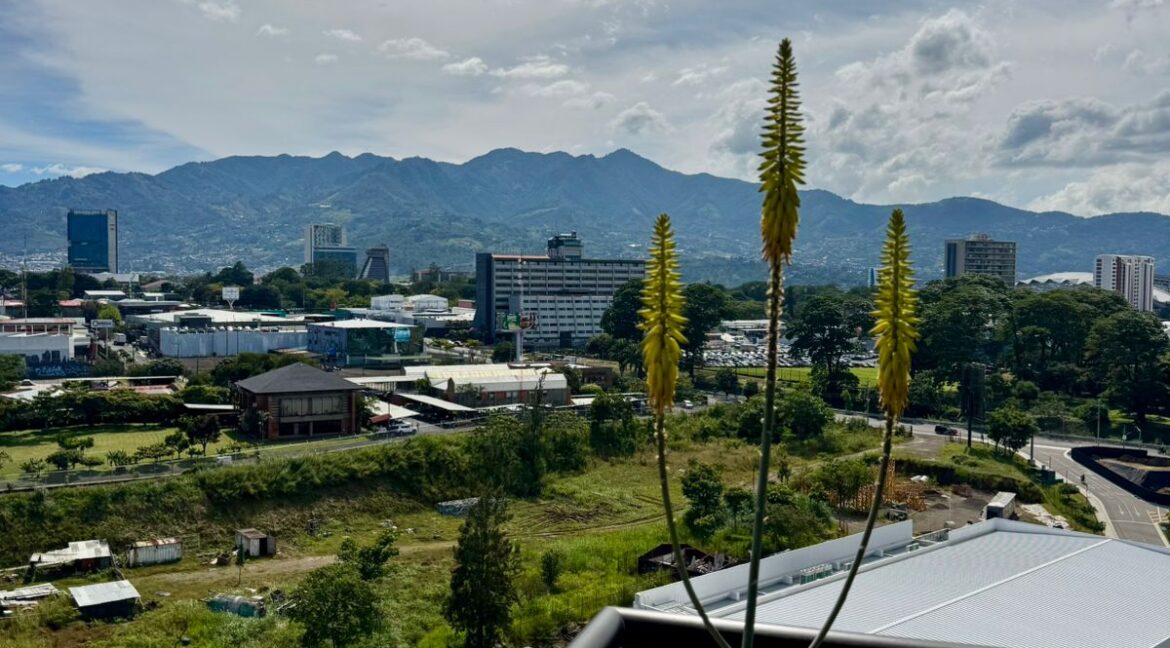 WhatsApp Image 2025-11-27 at 10.39.59 AM (1)