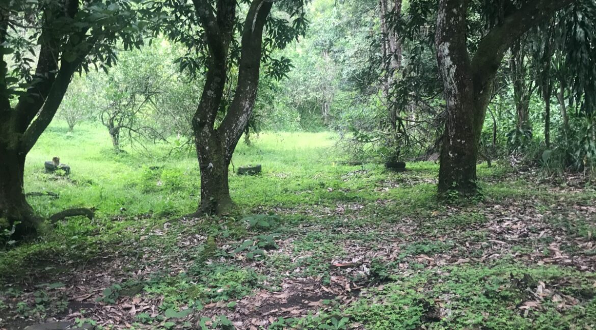 WhatsApp Image 2026-01-19 at 7.36.50 AM (1)