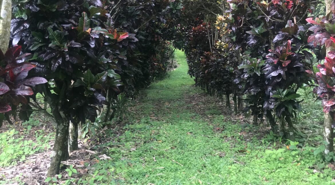 WhatsApp Image 2026-01-19 at 7.36.50 AM