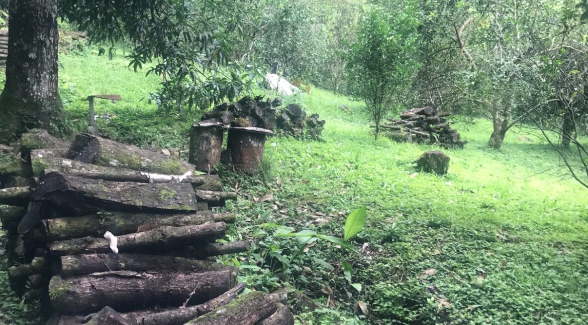 WhatsApp Image 2026-01-19 at 7.36.50 AM (2)