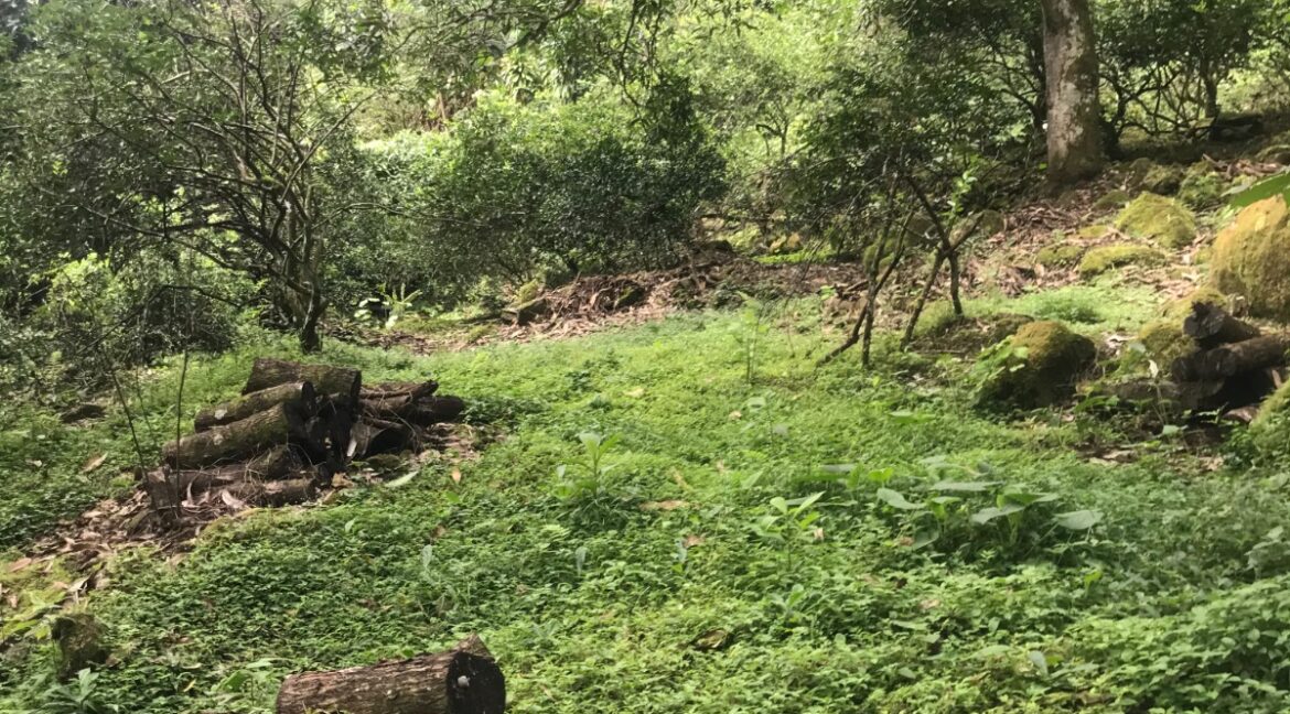 WhatsApp Image 2026-01-19 at 7.36.50 AM (3)