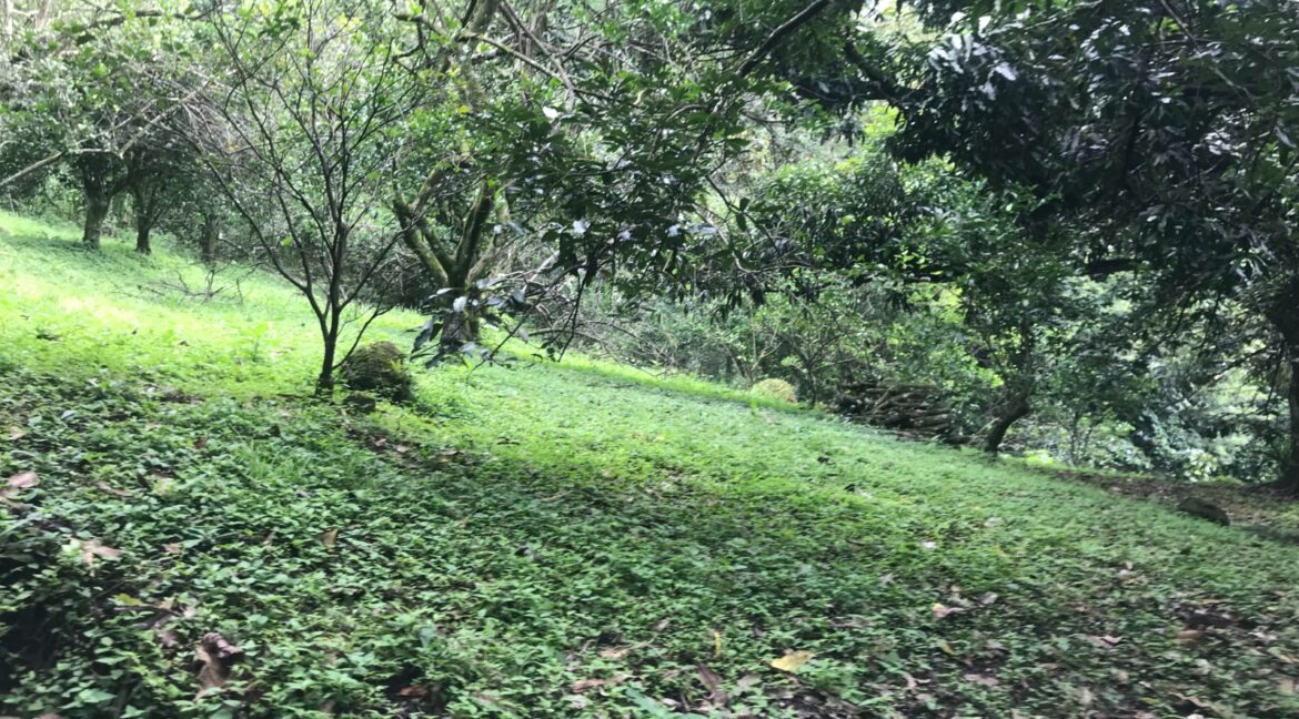 WhatsApp Image 2026-01-19 at 7.36.51 AM (1)