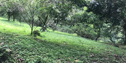 Propiedad de 10.000m2 en Santa Ana.