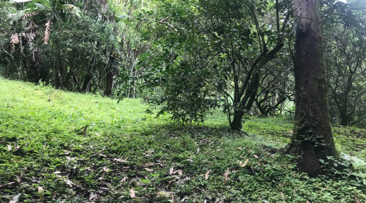 WhatsApp Image 2026-01-19 at 7.36.51 AM