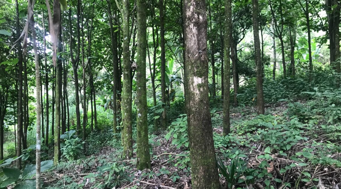 WhatsApp Image 2026-01-19 at 7.36.51 AM (2)