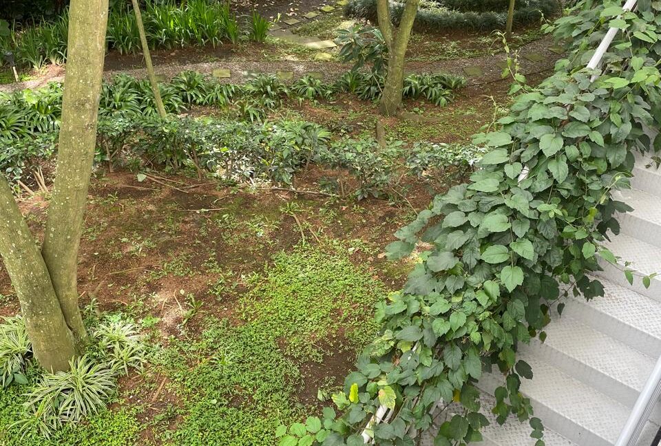 WhatsApp Image 2026-02-05 at 9.59.20 AM (2)