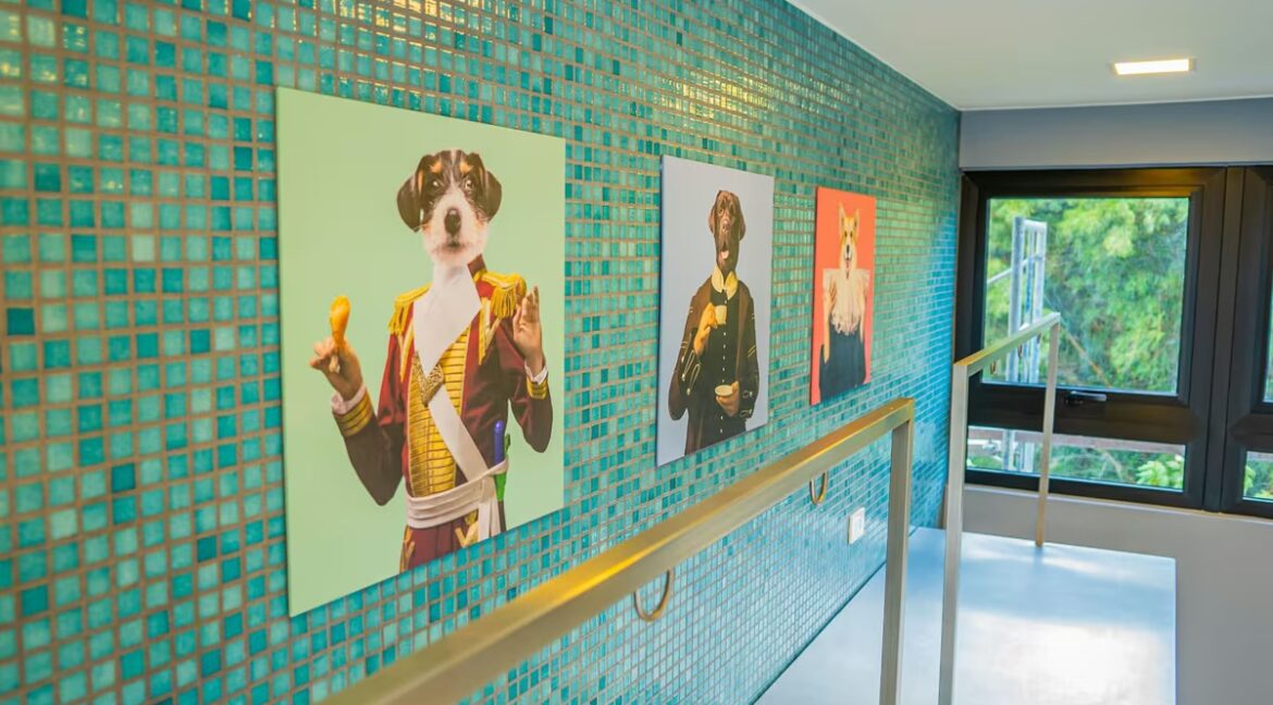 WhatsApp Image 2026-02-23 at 3.14.38 PM (1)