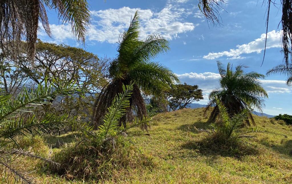 WhatsApp Image 2026-02-23 at 3.23.33 PM (1)