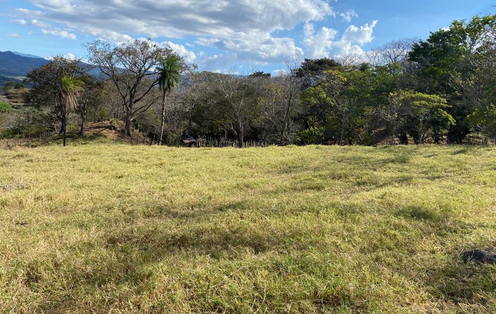 WhatsApp Image 2026-02-23 at 3.23.33 PM