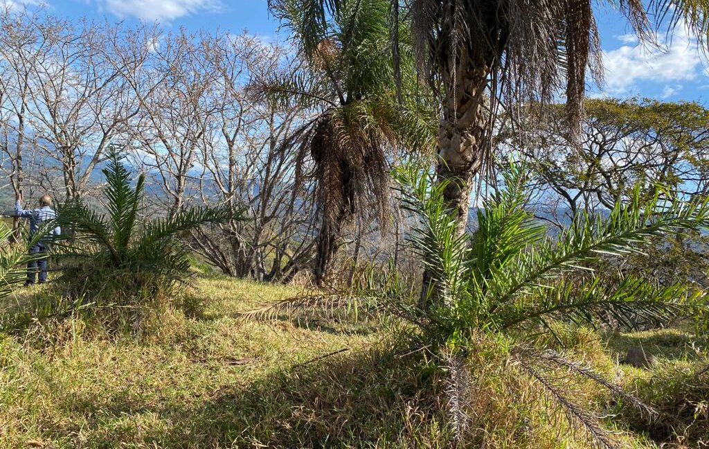 WhatsApp Image 2026-02-23 at 3.23.34 PM