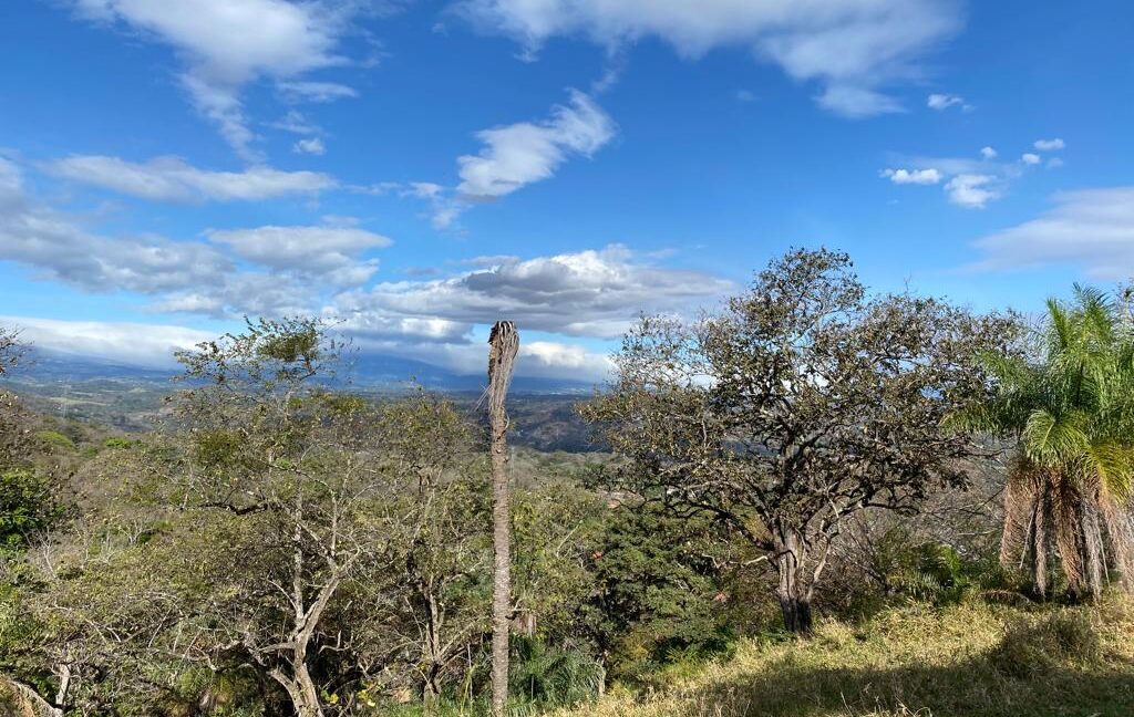 WhatsApp Image 2026-02-23 at 3.23.34 PM (2)