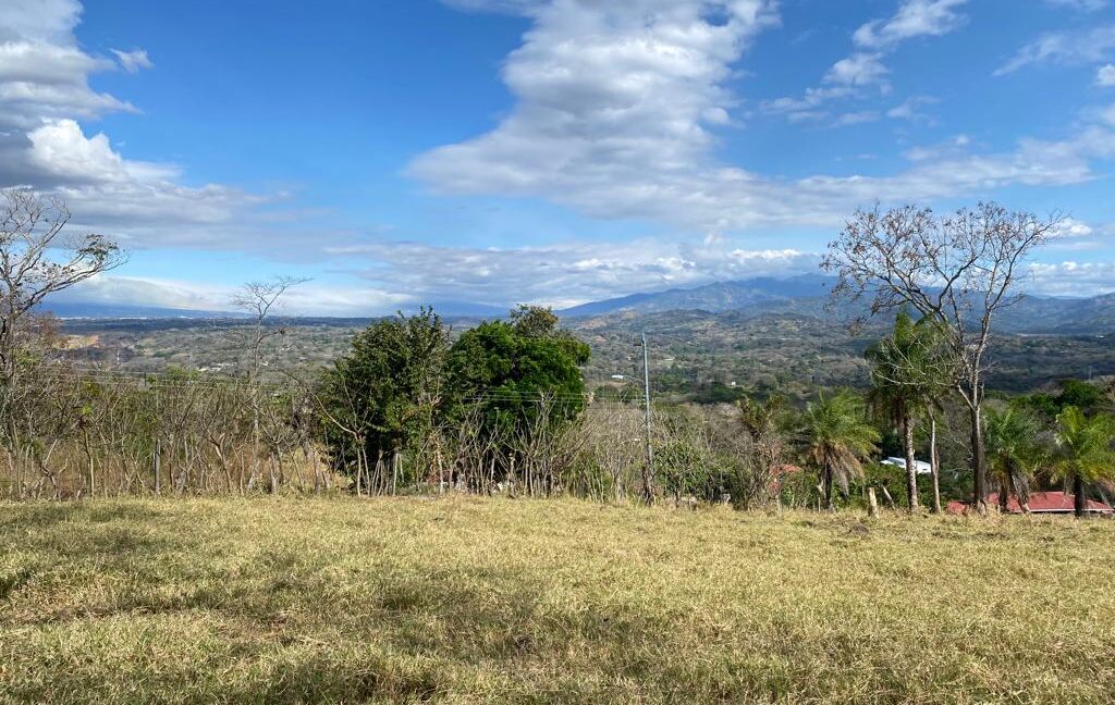 WhatsApp Image 2026-02-23 at 3.23.34 PM (3)