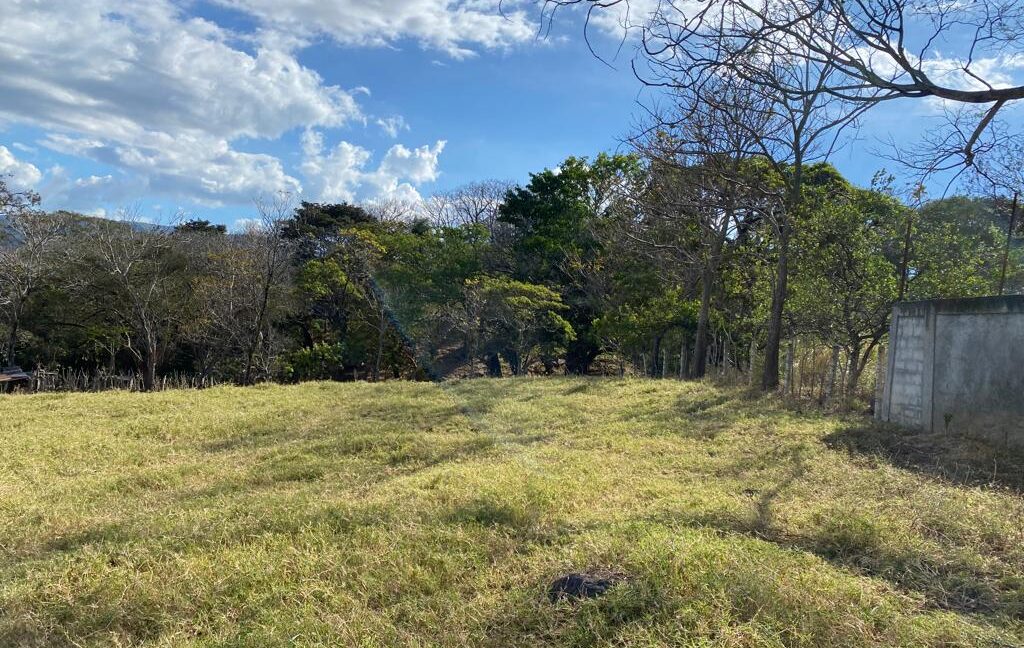 WhatsApp Image 2026-02-23 at 3.23.34 PM (4)