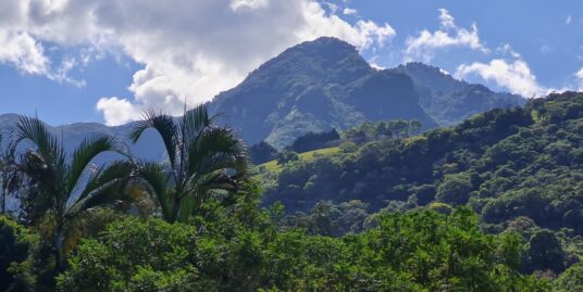 Venta de Quinta en San Antonio de Escazú.
