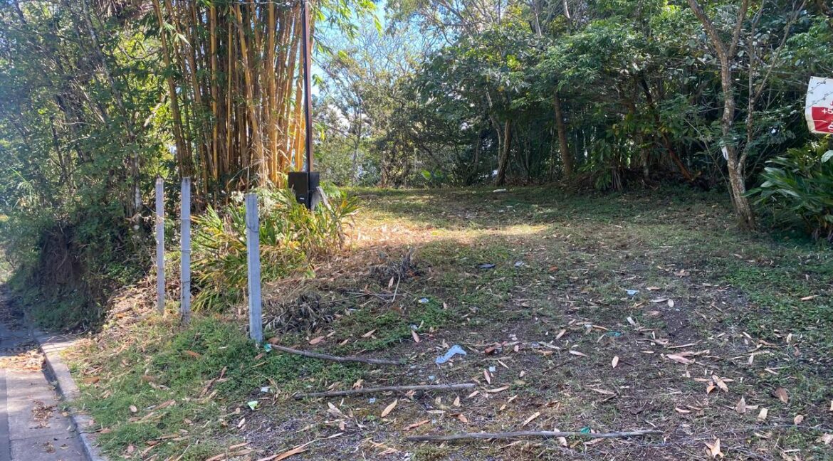 WhatsApp Image 2026-02-26 at 4.28.08 PM (3)