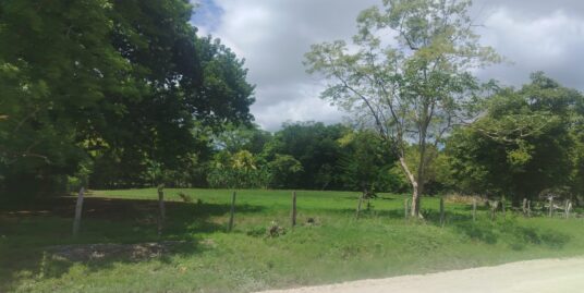 Finca en Venta – 24 Hectáreas en Nicoya, Guanacaste