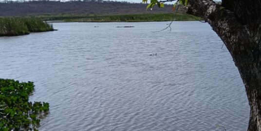 Propiedad Exclusiva en Venta — Nacascolo, Guanacaste