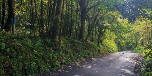 Quintas en Venta en Sarchí, Alajuela — Una Oportunidad de Inversión