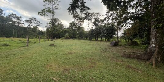 TERRENO EN VENTA – DOS RÍOS DE UPALA, EL GAVILÁN